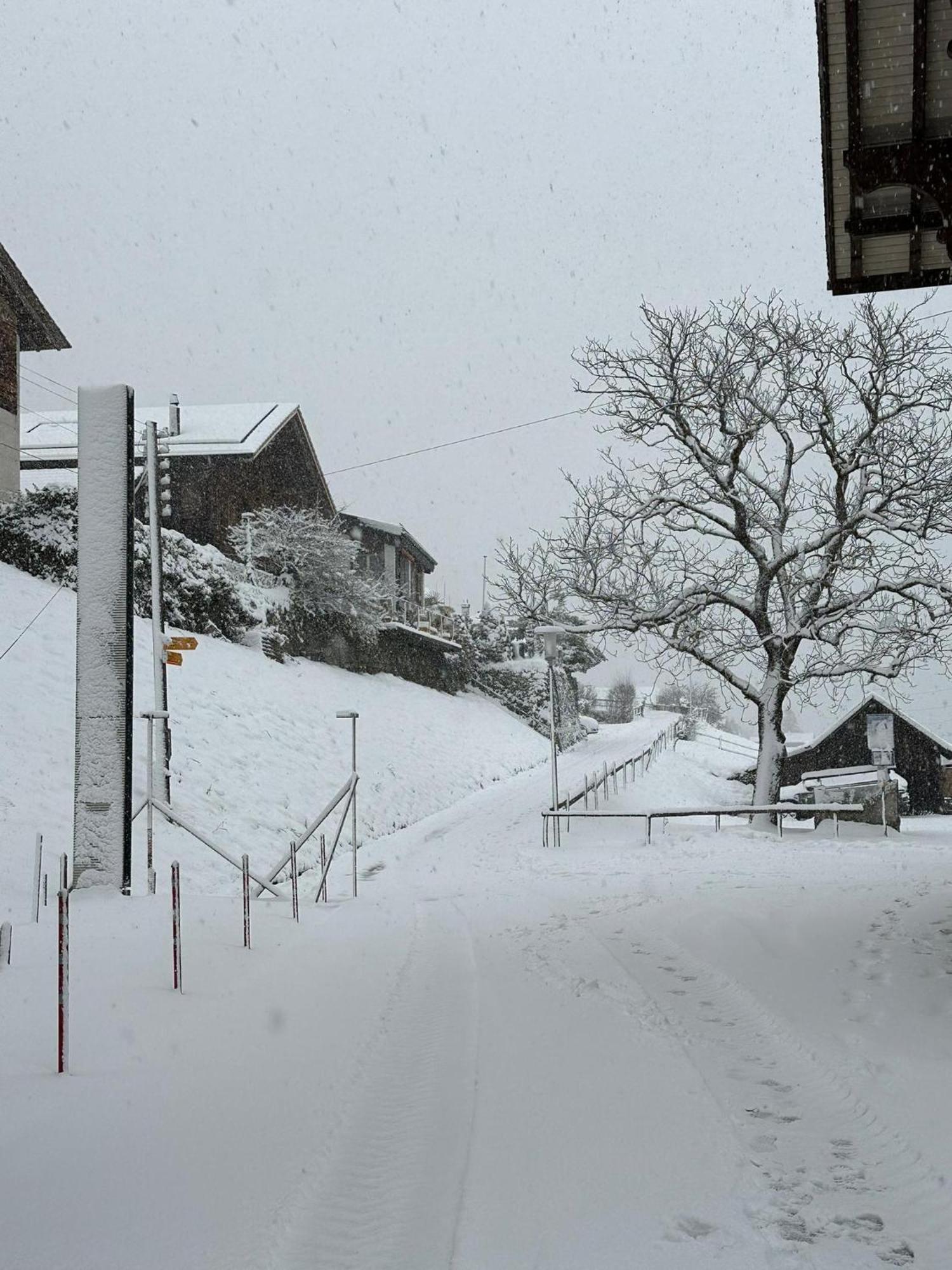अपार्टमेंट Lakeside - 18 Niederried bei Interlaken